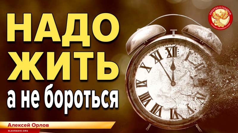 Надо жить, а не бороться