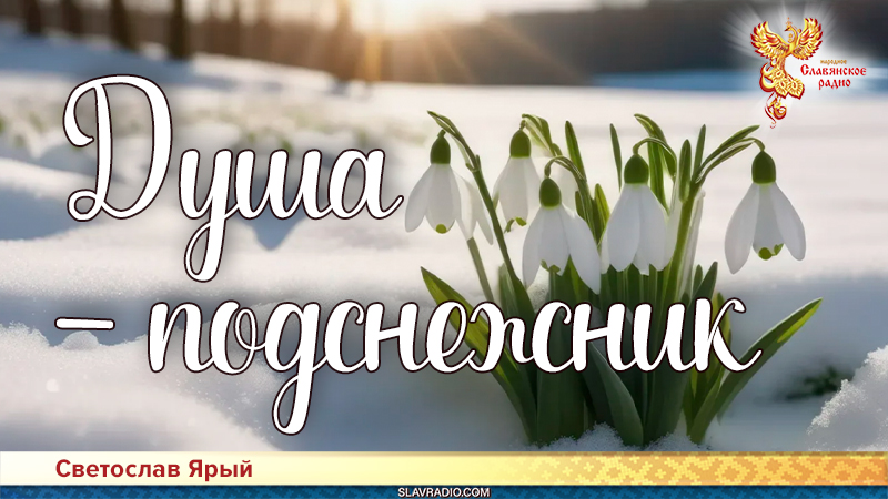 Душа-подснежник