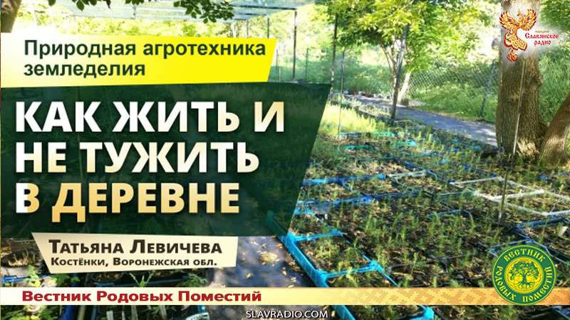 Как жить и не тужить в деревне