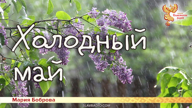 Холодный май 