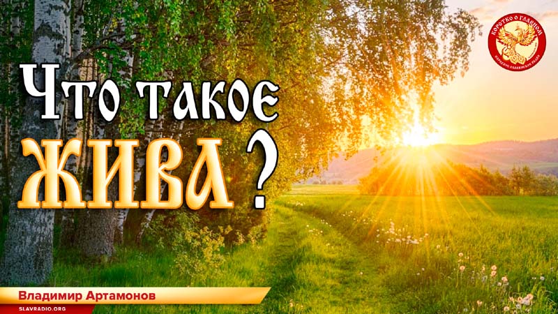 Что такое Жива?