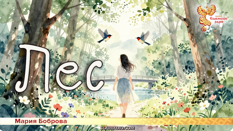 Лес 