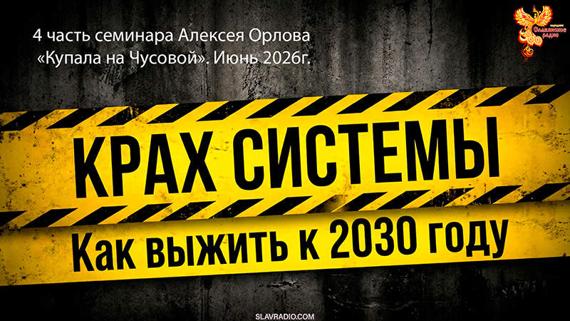 Крах системы. Как выжить к 2030 году