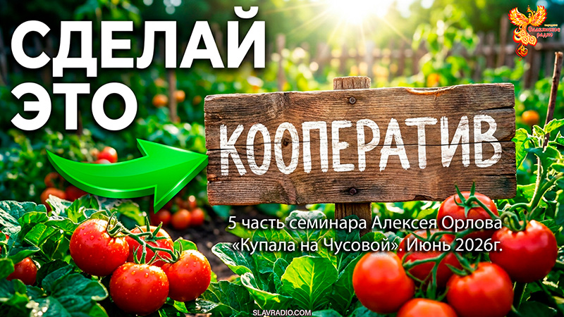 Сделай это! Как построить успешный кооператив  