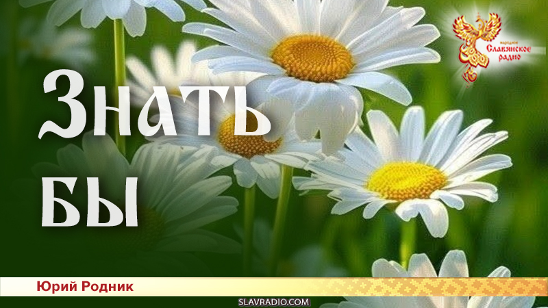 Знать бы 