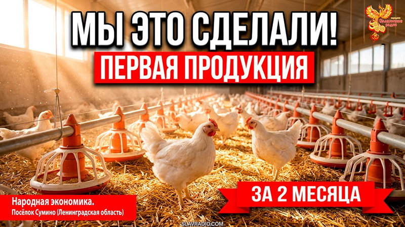 Экономический стартер народной экономики сработал. Что дальше?