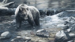 10 удивительных фактов о медведях