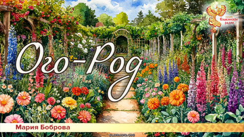 Ого-Род 