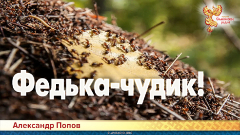 Федька – чудик