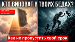 КТО ВИНОВАТ В ТВОИХ БЕДАХ?