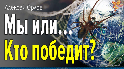 Мы или… Кто победит?