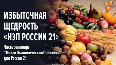 Избыточная щедрость «Новой экономической политики России 21»