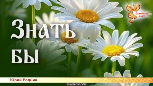 Знать бы 