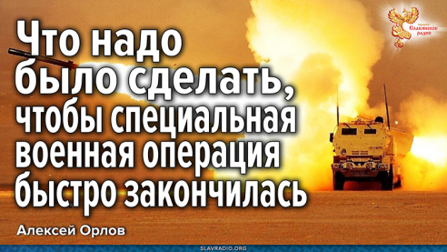 Что надо было сделать, чтобы специальная военная операция быстро закончилась