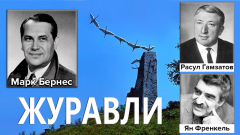 Журавли (Живая история песни)