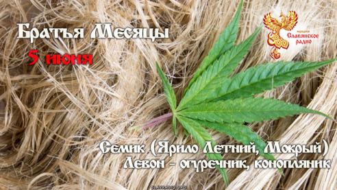 5 июня