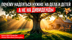 Почему надеяться нужно на дела и детей, а не на дивиденды