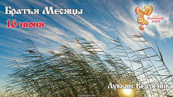 16 июня