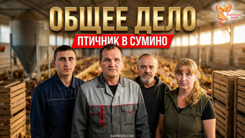 Новая Политэкономия Магомеда Чартаева &ndash; практическая реализация