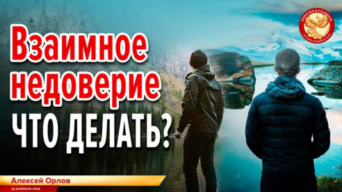 Взаимное недоверие. Что делать? 
