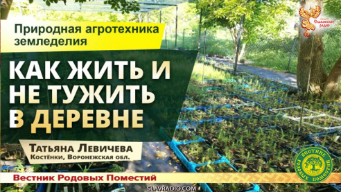 Как жить и не тужить в деревне