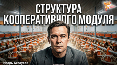 Структура Кооперативного Модуля одного Административного района