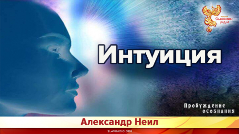 Интуиция
