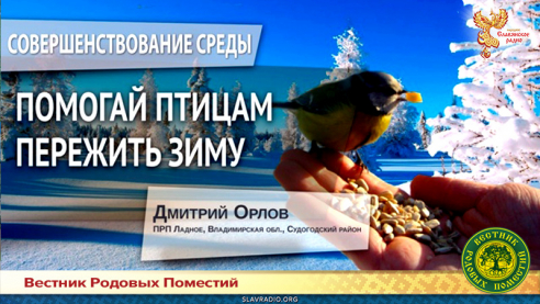 Помогай птицам пережить зиму