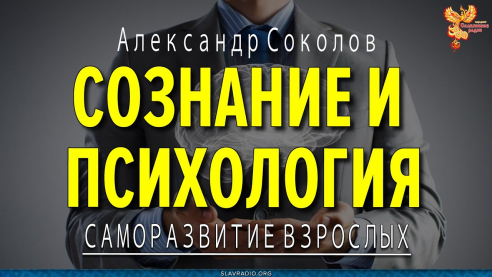 Сознание и психология. Александр Соколов