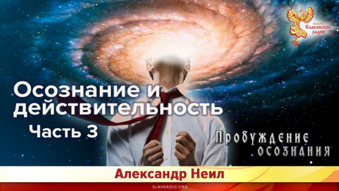 Осознание и действительность. Часть 3