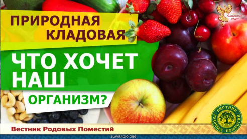 Что хочет наш организм?