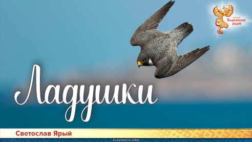 Ладушки