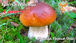 1 августа