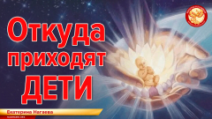 Откуда приходят дети