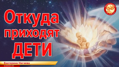 Откуда приходят дети