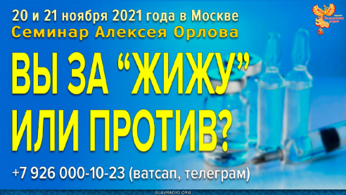 Алексей Орлов за ЖИЖУ или против?