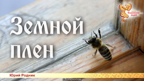 Земной плен