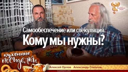 Самообеспечение или спекуляция. Кому мы нужны?