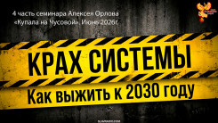 Крах системы. Как выжить к 2030 году