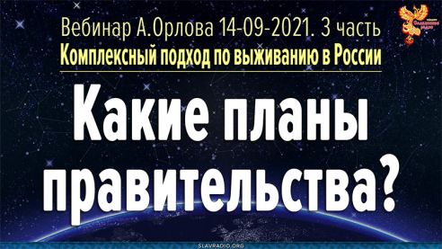 Какие планы правительства? Алексей Орлов
