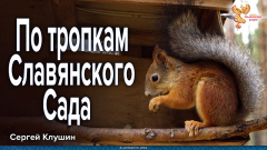 По тропкам Славянского Сада, город Ливны