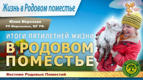 Итоги пятилетней жизни в Родовом поместье