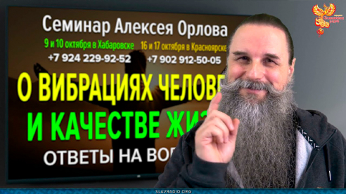 Как связаны вибрации человека с качеством жизни? Алексей Орлов
