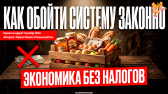 Экономика без налогов. Законное решение