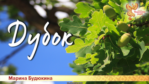 Дубок