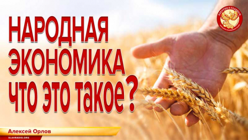 Народная экономика. Что это такое?