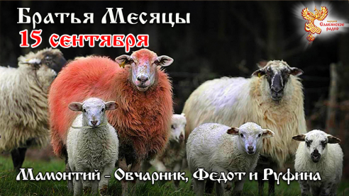 15 сентября - Мамонтий - Овчарник, Федот и Руфина