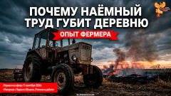 Почему наёмный труд губит деревню. Горький опыт фермера