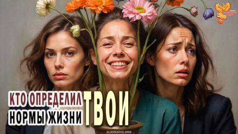 Кто определяет нормы жизни?