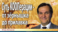 Суть КООПерации — от зёрнышка до прилавка